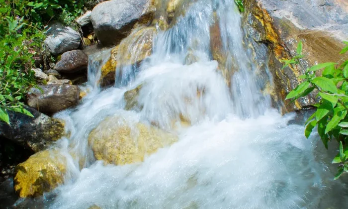 Jeevant Mehta Studio